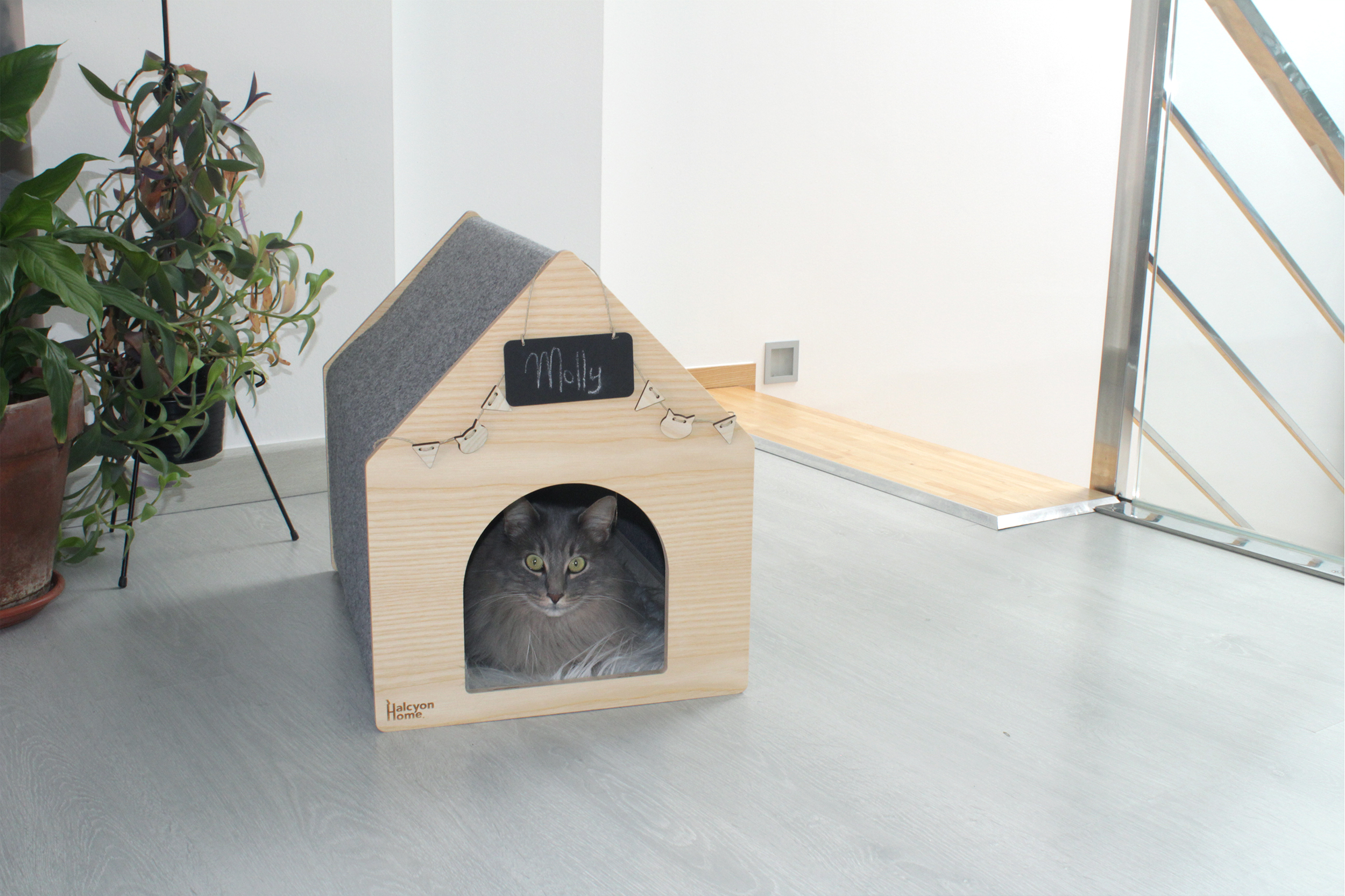 APAWTMENT house - Holzhaus für Katzen APAWTMENT house - Holzhaus für Katzen