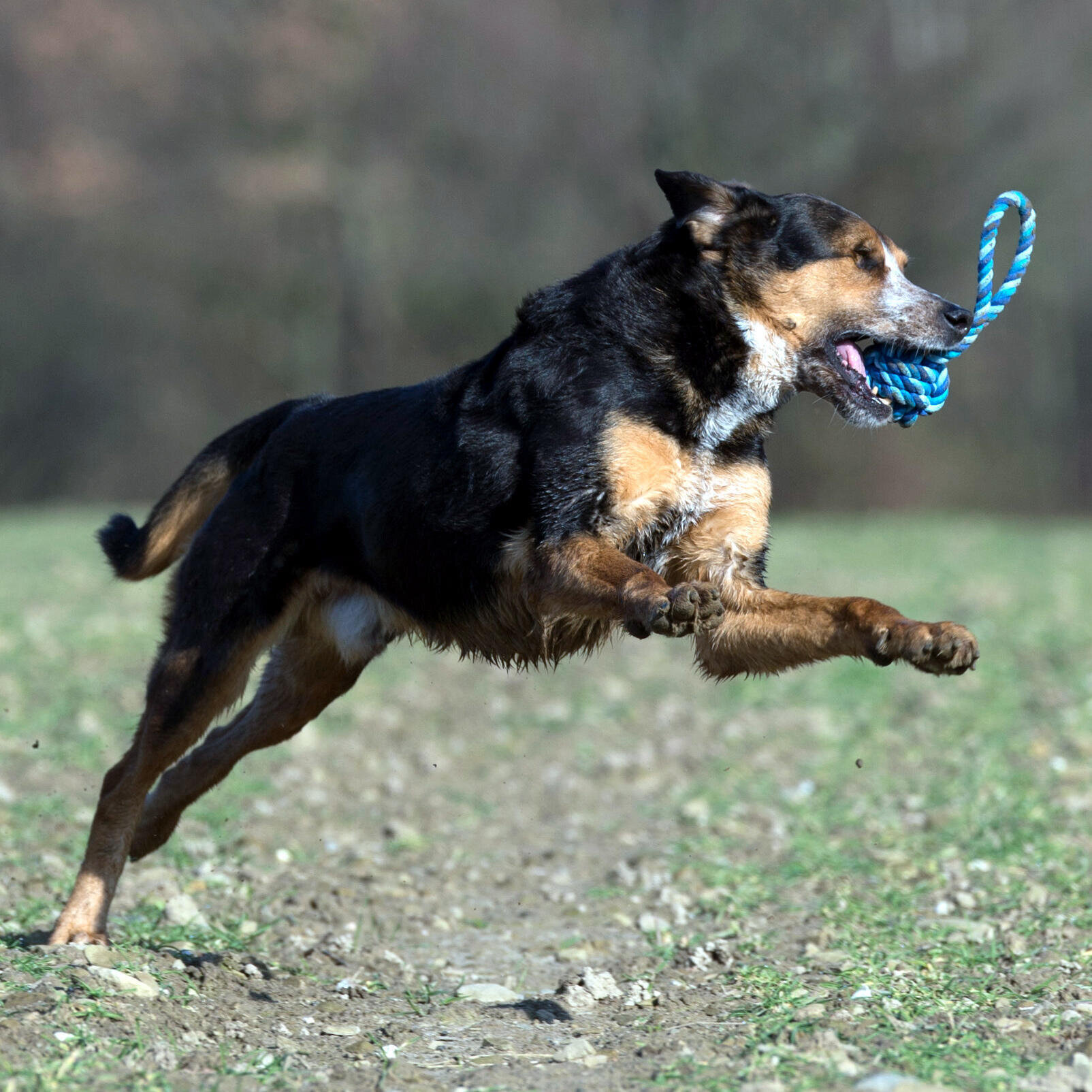 Schleuderball "Maxi" aus Baumwolle Schleuderball "Maxi" aus Baumwolle