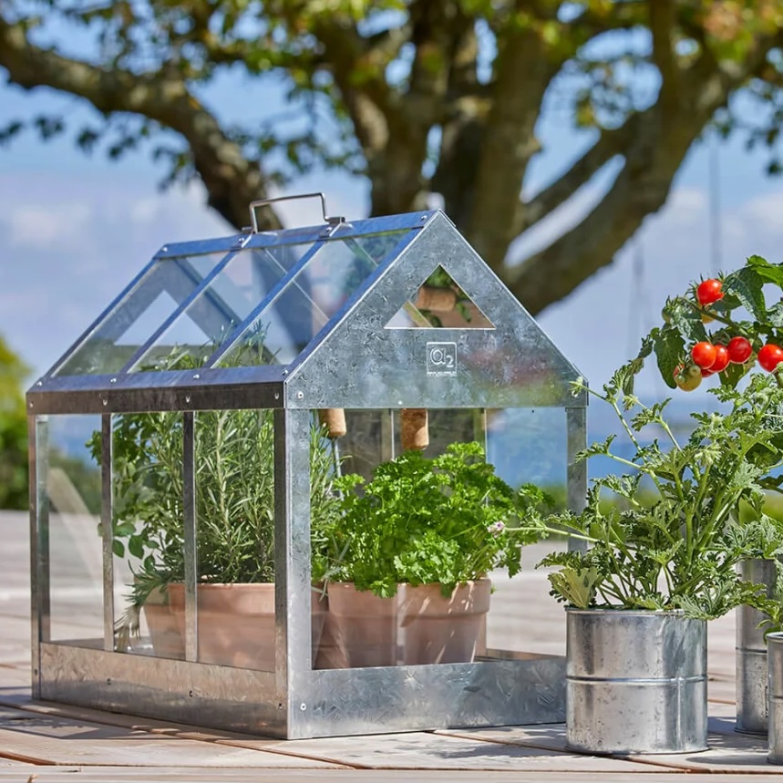 Maxi-Gewächshaus verzinkt mit Sicherheitsglas